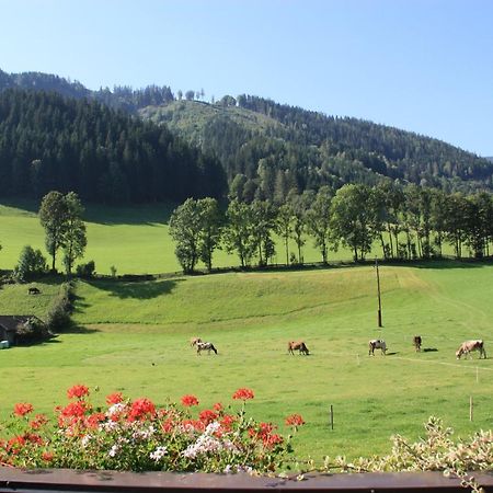 Blonbauer Villa Schladming Eksteriør bilde
