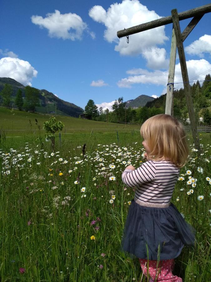 Blonbauer Villa Schladming Eksteriør bilde