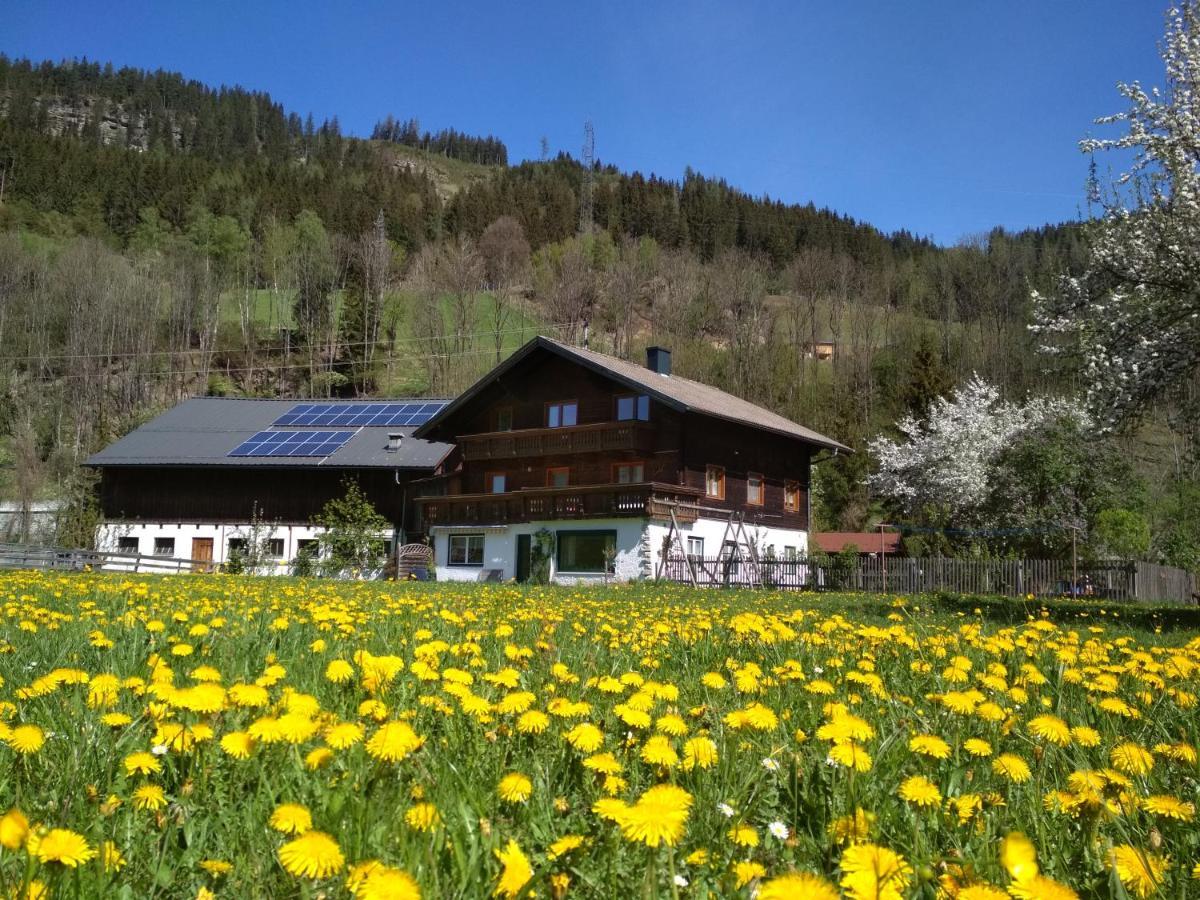 Blonbauer Villa Schladming Eksteriør bilde