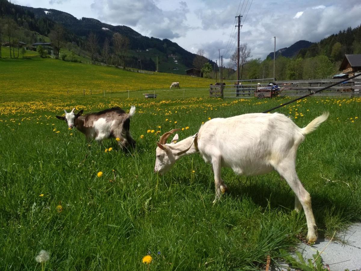 Blonbauer Villa Schladming Eksteriør bilde